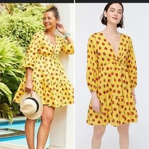 NWT J.Crew Edie Parker strawberry dress XXS beach dress 🍓
